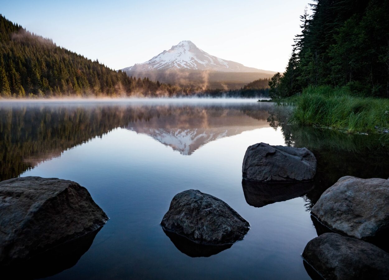 calm body of water with rocks near trees and mountain